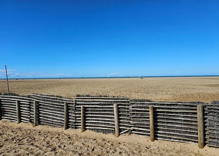 Lejlighed Ocea Marina Vue Refait A Neuf Avec Parking Privatif