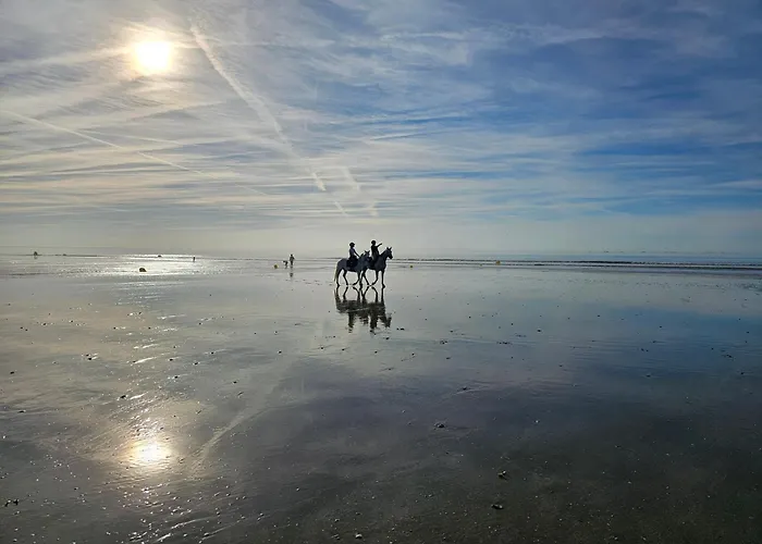 Ocea Marina Vue Refait A Neuf Avec Parking Privatif Apartment *