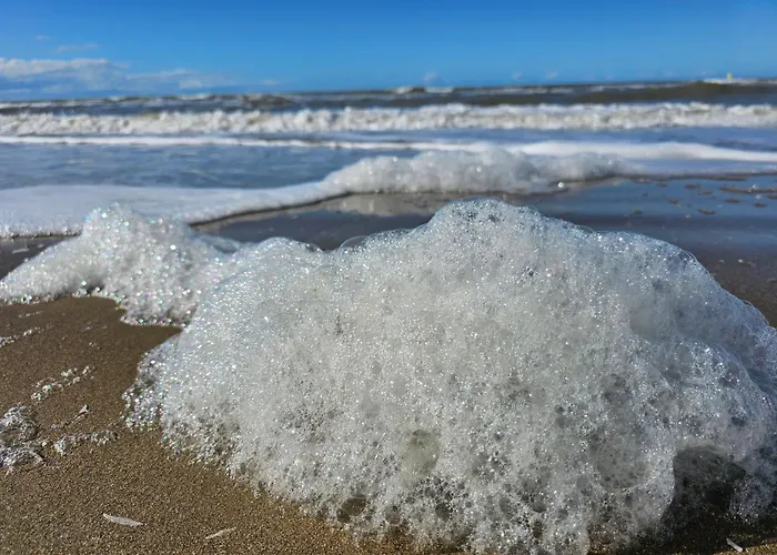 Ocea Marina Vue Refait A Neuf Avec Parking Privatif Apartment *