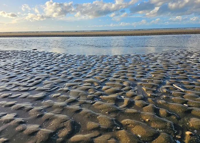 Ocea Marina Vue Refait A Neuf Avec Parking Privatif * Deauville