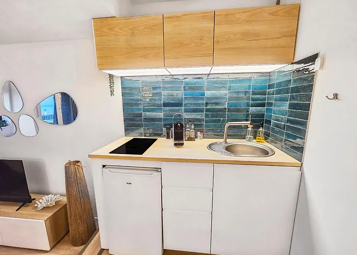 Ocea Marina Vue Refait A Neuf Avec Parking Privatif Apartment *